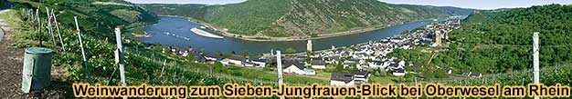 Mittelrhein-Weinwandertag
